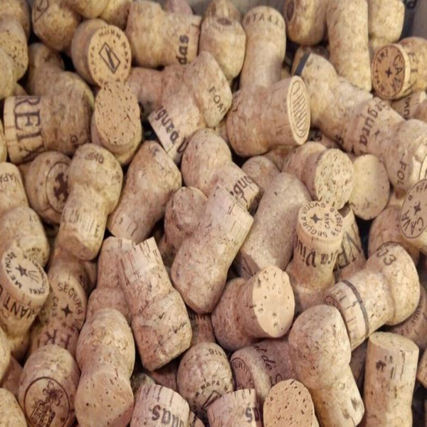 Bulk Recycled Champagne Corks Corks - Wine Not Upcycle   