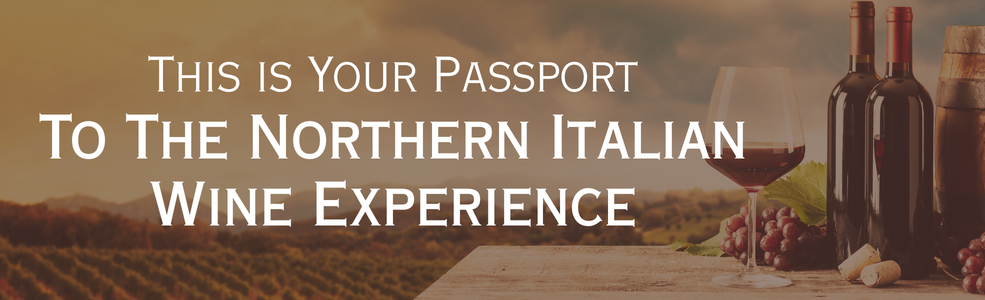 The Ultimate Northern Italian Wine Journey: A Travel Guide to the Richness of Wine and Food in Six Regions of Italy, including Tasting, Pairings, and its History
