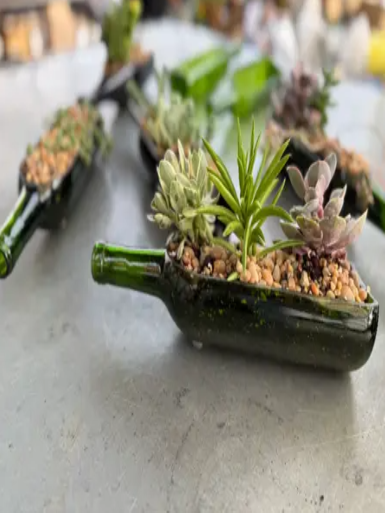 Small green bottles repurposed as planters with succulents on a concrete surface.
